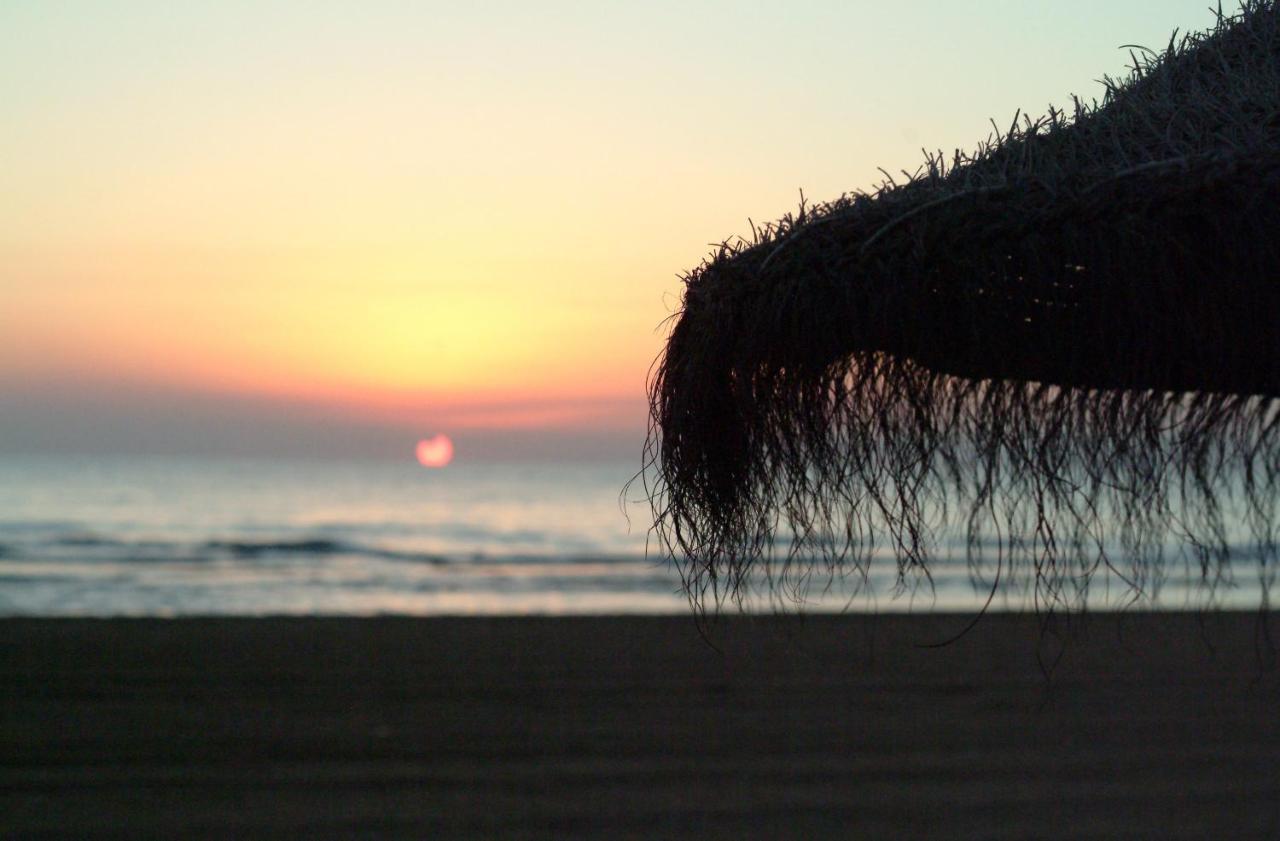 Ag Las Sirenas Playa de Gandia Eksteriør bilde